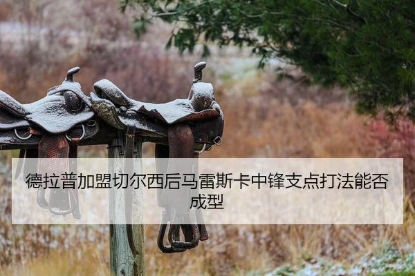 德拉普加盟切尔西后马雷斯卡中锋支点打法能否成型