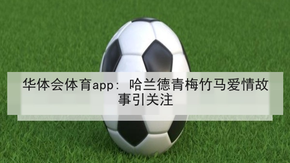 华体会体育app: 哈兰德青梅竹马爱情故事引关注 华体会体育app: 哈兰德青梅竹马爱情故事引关注