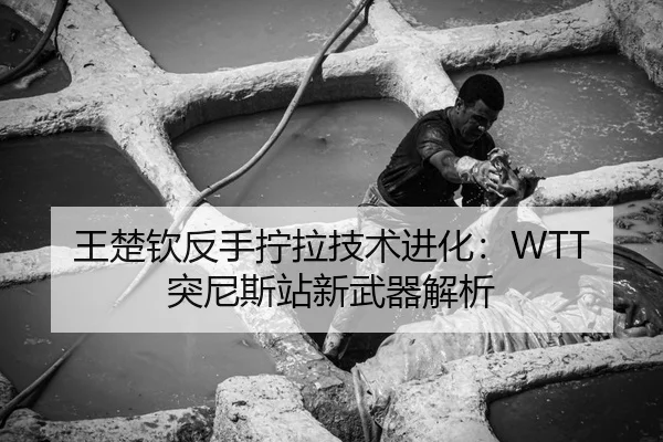 王楚钦反手拧拉技术进化：WTT突尼斯站新武器解析