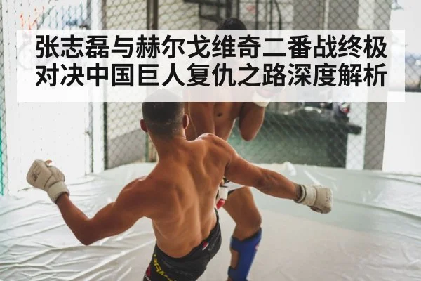 张志磊与赫尔戈维奇二番战终极对决中国巨人复仇之路深度解析
